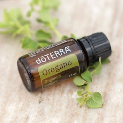 aetherisches-oel-zitrone-