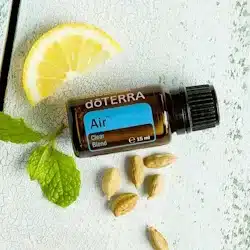 &Ouml;lfl&auml;schchen auf Tisch, mit minze und Zitrone dekoriert